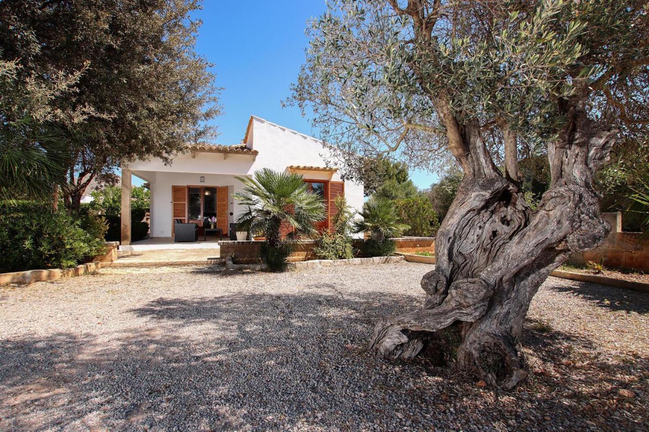 Villa La Vinya Can Oliver - Oliver Pollenca Exterior photo